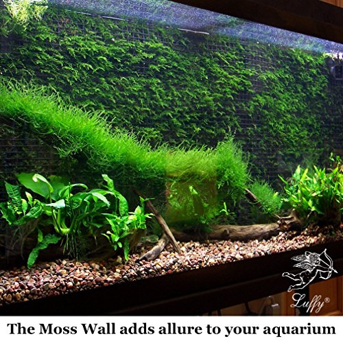 Luffy Decorative Aquatic Moss Wall/Floor Mesh Kit, Create a Lush Living Plant