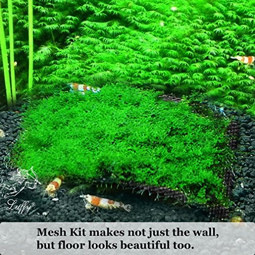 Luffy Decorative Aquatic Moss Wall/Floor Mesh Kit, Create a Lush Living Plant