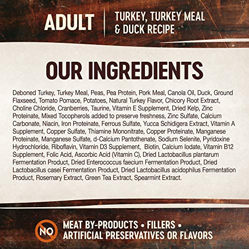 Wellness CORE Grain Free Dry Cat Food, Turkey, Turkey Meal & Duck Recipe, 5 Pound Bag