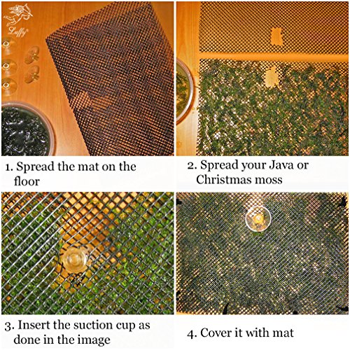 Luffy Decorative Aquatic Moss Wall/Floor Mesh Kit, Create a Lush Living Plant